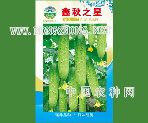 鑫秋之星